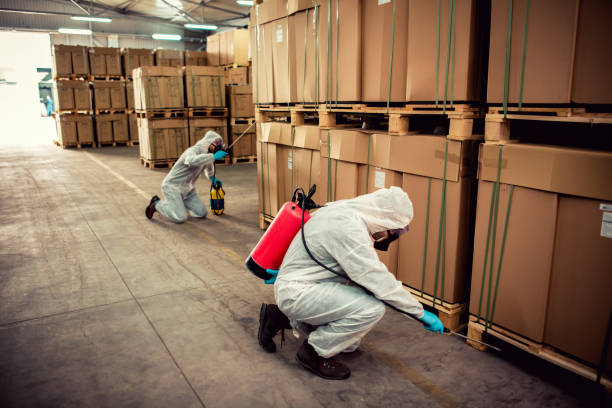 Best Best Pest Control Companies  in Wixom, MI
