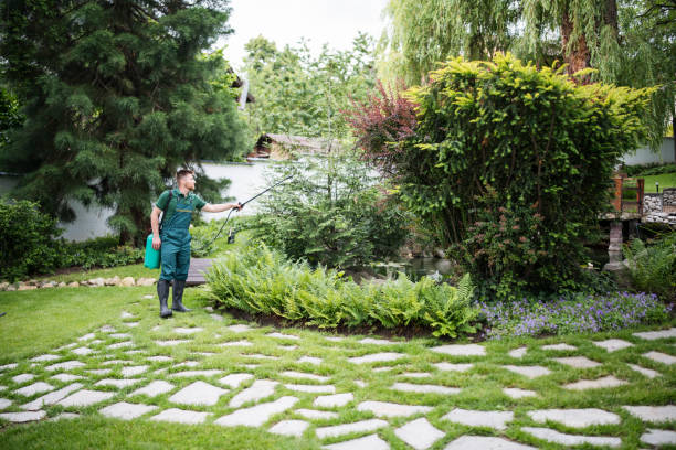 Best Emergency Pest Control  in Wixom, MI