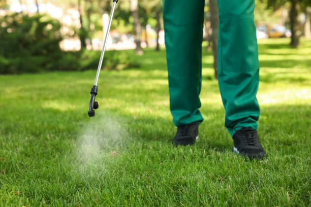 Best Affordable Pest Control Services  in Wixom, MI