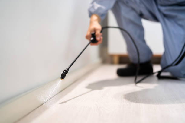 Best Local Pest Control Services  in Wixom, MI