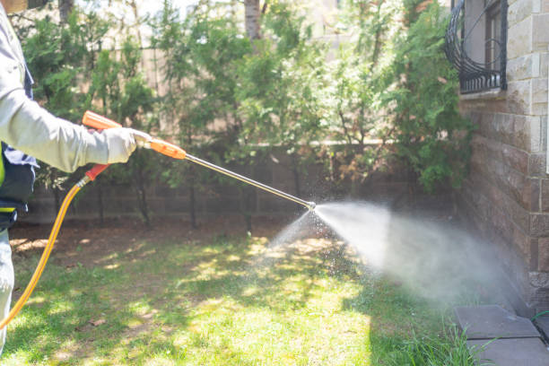 Best Termite Control Services  in Wixom, MI