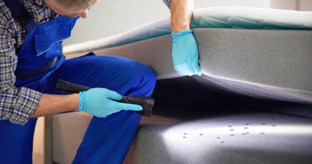 Best Pest Control Near Me  in Wixom, MI