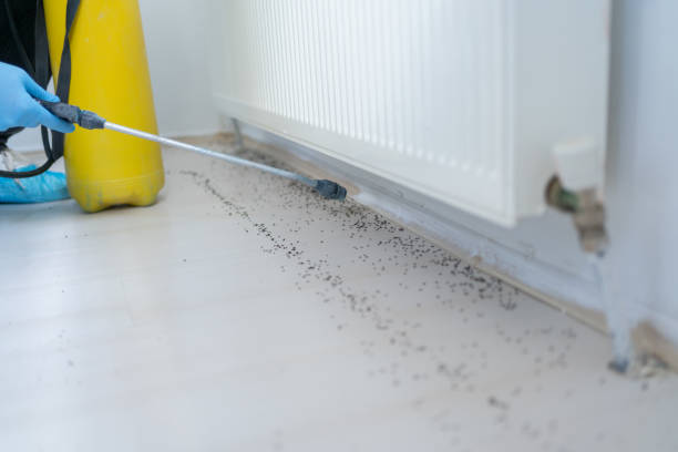 Best Pest Control for Restaurants  in Wixom, MI