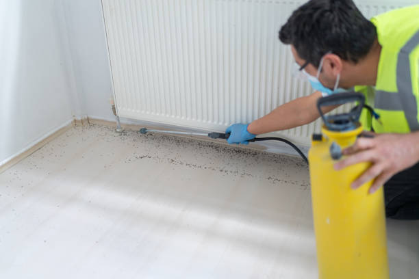 Best Residential Pest Control  in Wixom, MI